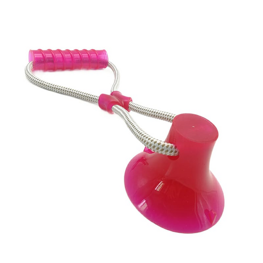 SAAS DOG TRAINING CHWE TOY 1790