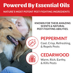 Skouts Honor Flea & Tick Shampoo 475ml