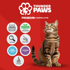 Thunder Paws Advance Care Clumping Cat Litter Unscented 8.45 kg/10 Liters