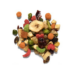 Pure Fun Parrots & Conures 907g