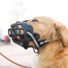 Saas Dog Muzzle XXXL