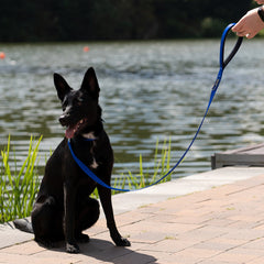 Ferplast Daytona G Nylon Dog Leash Black 20mm