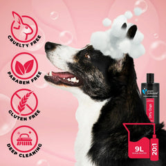 Groom Professional Dirty Dogs Shampoo 450ml