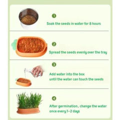 Saas Cat Grass Kit