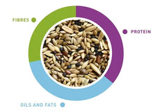 Padovan Natural Mix Canarini 1kg