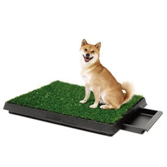 SAAS Dog Toilet 51*63 cm