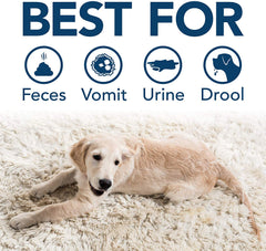 Extreme Pet Stain and Odor Remover 32 OZ
