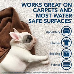 Extreme Pet Stain and Odor Remover 32 OZ