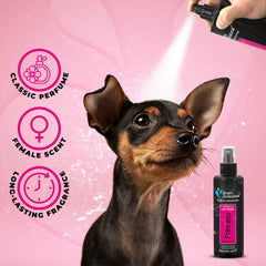 Groom Professional Princess Perfume 200 ml