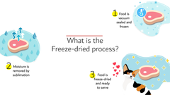 Happi Skippi Just Freeze-Dried Treat Duck for Cats and Dogs 10g