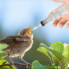 SAAS Bird Syringe Feeder Kit 4pcs Kit-20ml
