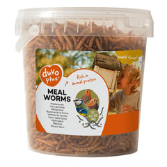 Duvo Meal Worms Bucket 200g