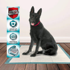 Puppy Training Pads XL – 10pcs