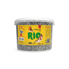 RIO Sunflower Seeds 2kg