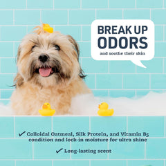 Synergy Labs Veterinary Soothing & Deodorizing Oatmeal Shampoo 17oz - 503ml