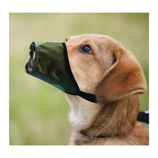 SAAS DOG MUZZLE M