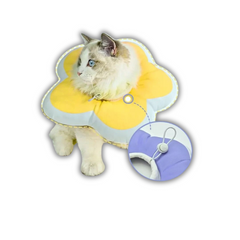Saas Cat Soft Elizabeth Coller Large (SA 2983)