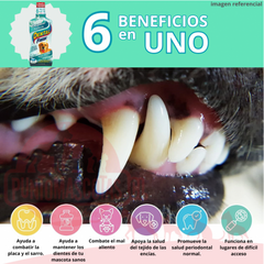 Synergy Labs Original Formula Dental Fresh - Dog 237ml