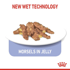 Feline Health Nutrition Indoor Jelly (Wet Food - Pouches) 12 x 85 g