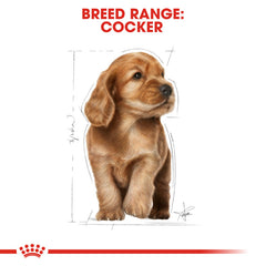 Breed Health Nutrition Cocky