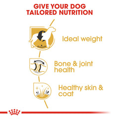 Rc Labrador Adult dog dry food