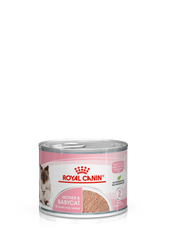 RC MOTHER & BABY CAT MOUSSE (WET FOOD - CANS)