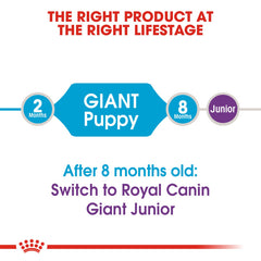 RC Giant Puppy dry foog 15kg