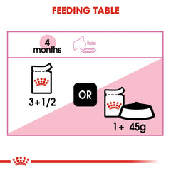 RC Kitten Jelly ( Wet food Pouches)