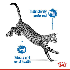 RC Indoor Cat Wet Food Pouch 1 Piece