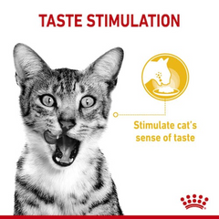 RC Sensory Wet Food Taste 1p 85 g