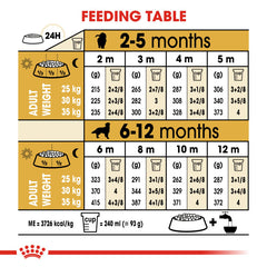 Golden Retriever Puppy dry food 12 kg