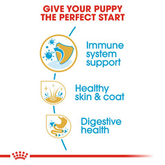 Golden Retriever Puppy dry food 12 kg
