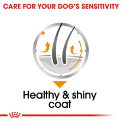 RC Coat care Gravy Dog 1 pc