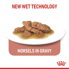 Feline Health Nutrition Indoor Gravy (Wet Food - Pouches) 12 x 85 g