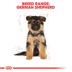 German Shepherd Puppy dry food 12 kg