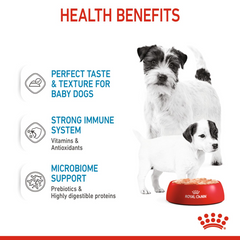 RC Starter Mother&baby Dog Mousse Can 1pc