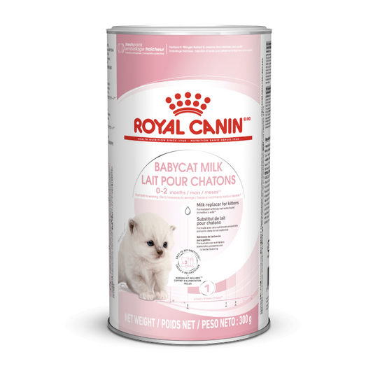 RC Baby cat milk 300gm