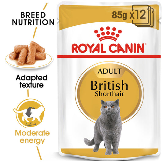RC British Short hair Gravy 1 Piece 85g