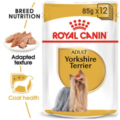 RC Yorkshire Terrier wet food 1p