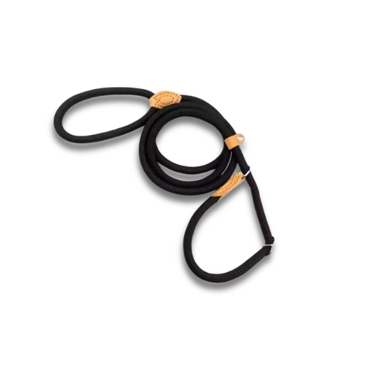 Saas Dog Leash Medium Size