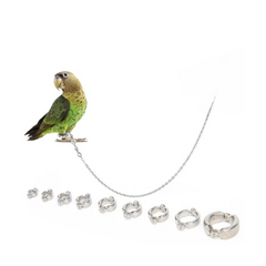 Saas Parrots Anti-Flying Foot Chain 100cm Long size #6 SA3368
