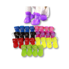 SAAS PET SHOES L