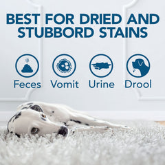 Simple Solution Oxy Charged Pet Stain and Odor Remover - 945ml