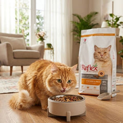 Reflex Adult Cat Food Chicken 2kg