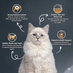 Reflex Gourmet Adult Cat Food Chicken & Rice 2 kg