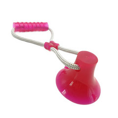 SAAS DOG TRAINING CHWE TOY 1790