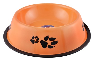 SAAS Multi Color Steel Bowl Large