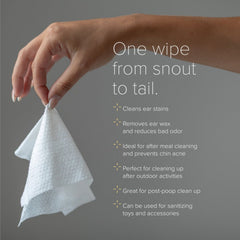 NurturePro AG+ Silver Pet Wet Wipes- LAV -100p