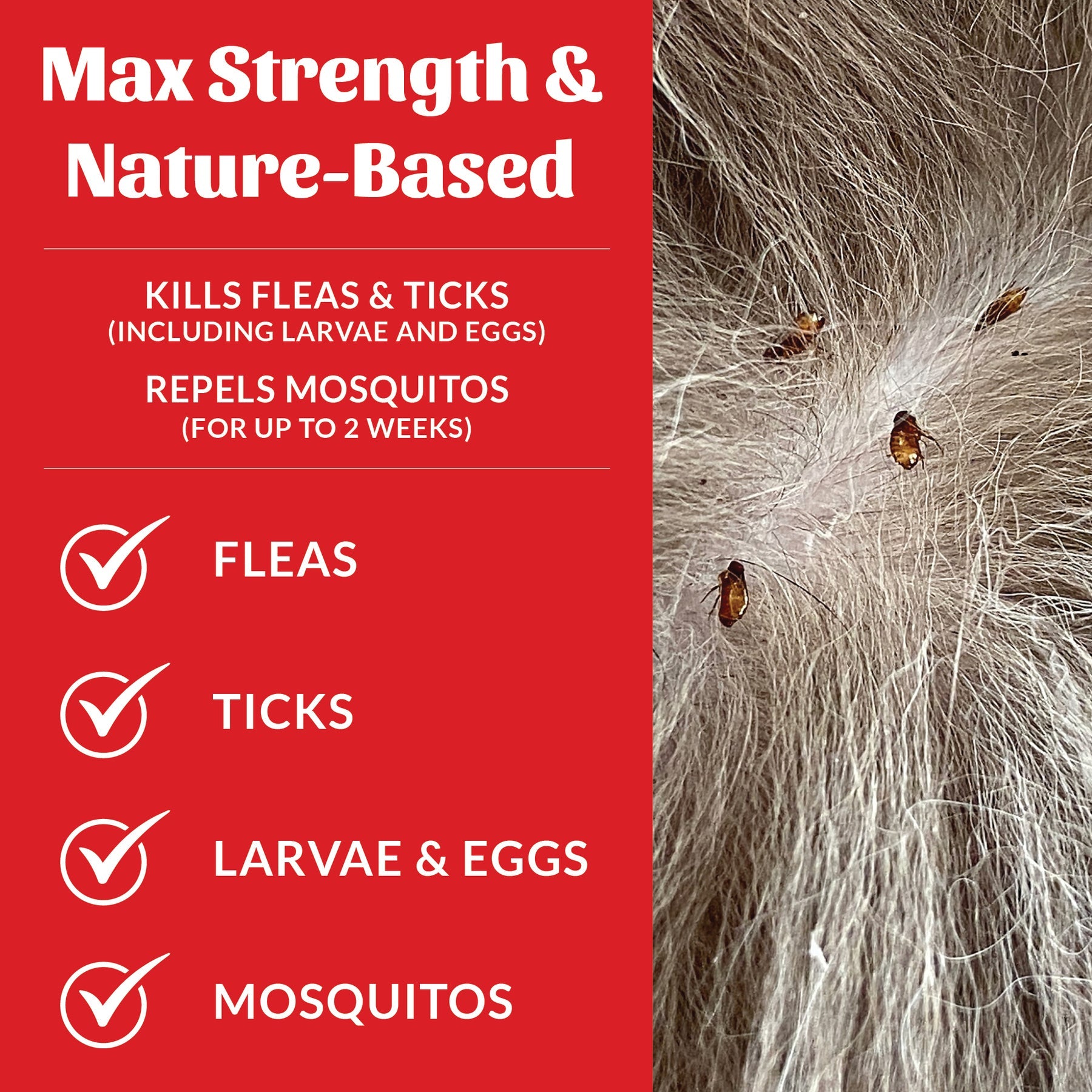 Skouts Honor Flea & Tick Shampoo 475ml