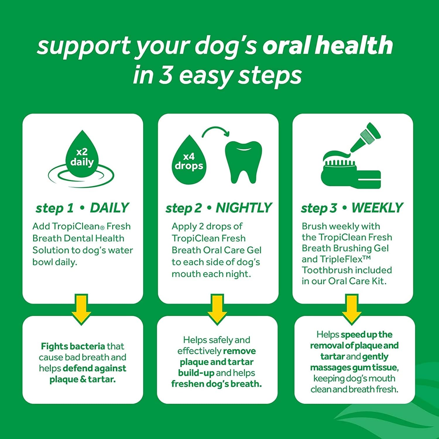 Oral Care Water Additive  for Dogs, 16oz